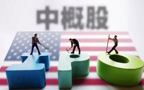 金属国际期货有哪些